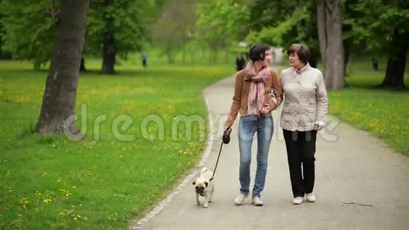 穿着牛仔裤和围巾的成年女儿和她母亲穿着白色夹克走路春天和小狗一起散步视频的预览图