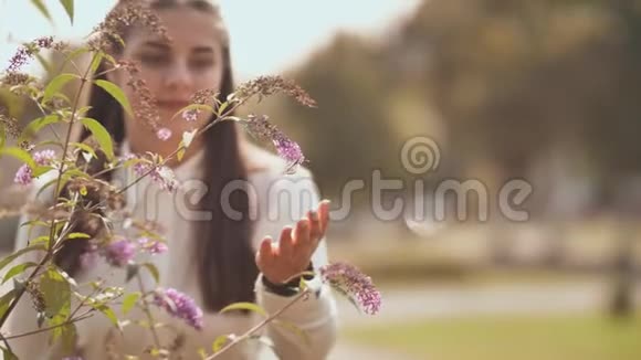 女孩用花在灌木丛上捉蝴蝶视频的预览图