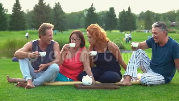 户外成人成熟人士野餐视频的预览图