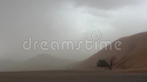 风在沙丘上掀起一阵沙尘暴视频的预览图
