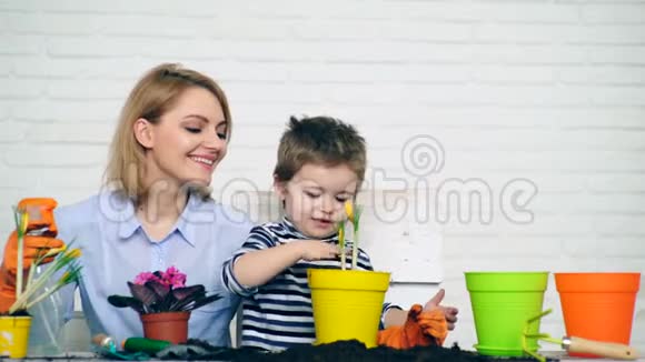 母子俩在锅里种春花春天的时候春天的花视频的预览图