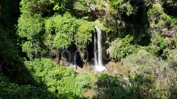 意大利蒂沃利野生动物园阳光明媚的瀑布视频的预览图