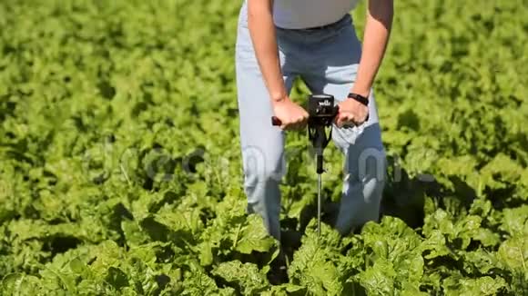 一位植物专家这位农民对甜菜地土壤的密度进行了测试视频的预览图