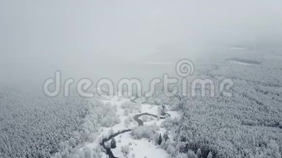 4K在雾蒙蒙的天气下在冰冻的森林里在野生蜿蜒的河流上空飞行北方下雪的冬天空中全景视频的预览图