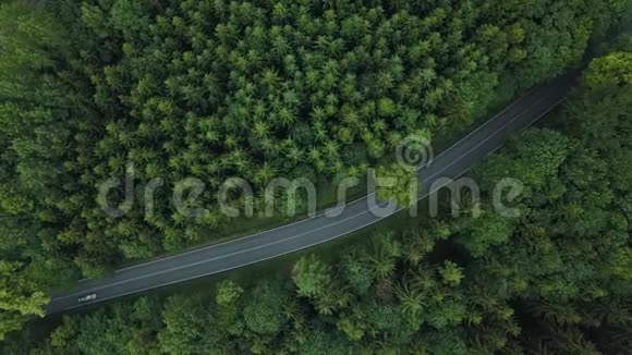 德国森林中有汽车的神奇道路的俯视图视频的预览图