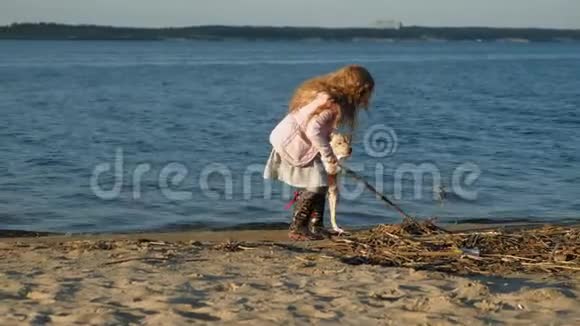 在海滩上和一只棕色拉布拉多犬玩耍的学龄前女孩春天或寒冷的夏天视频的预览图