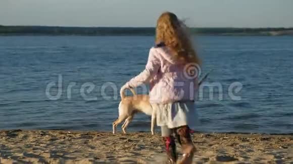 在海滩上和一只棕色拉布拉多犬玩耍的学龄前女孩春天或寒冷的夏天视频的预览图