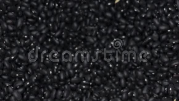 持黑芸豆粒者视频的预览图