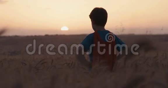 日落时分穿着超级英雄斗篷的小男孩站在金色麦田里视频的预览图