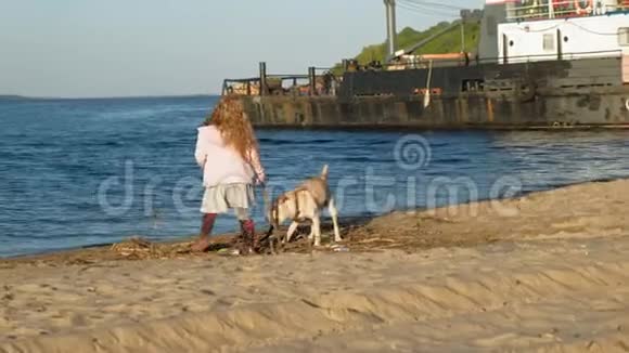 在海滩上和一只棕色拉布拉多犬玩耍的学龄前女孩春天或寒冷的夏天视频的预览图