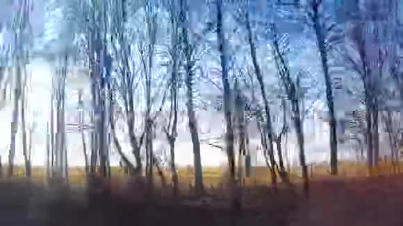 没有树叶田野和蓝天的树木在一辆移动的汽车的车窗外闪烁视频的预览图