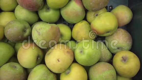 成熟的新鲜绿色苹果在市场货架上出售特写视频的预览图