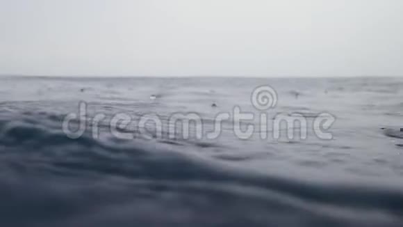 海洋雨滴的地平线视频的预览图