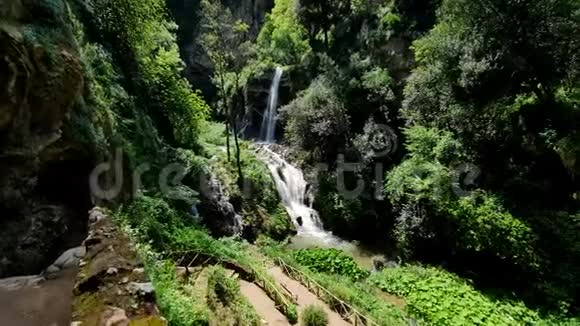 意大利蒂沃利野生动物园阳光明媚的壮观瀑布视频的预览图
