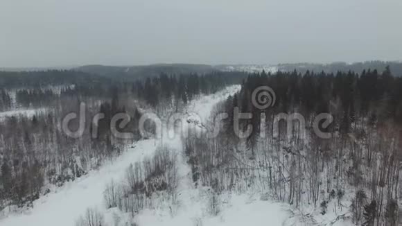 在多云的天气下随着降雪飞越冬季森林景观视频的预览图