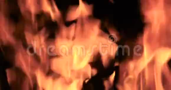 关起篝火点燃篝火视频的预览图