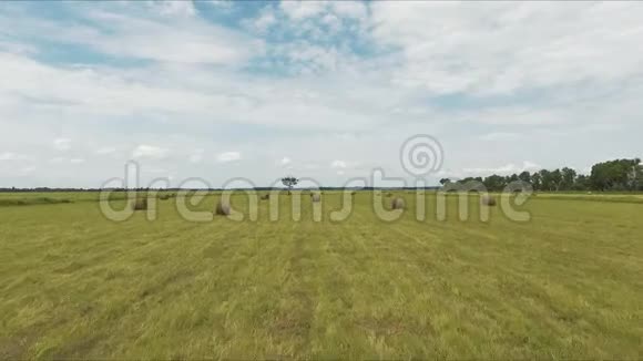 夏季干草堆草地视频的预览图