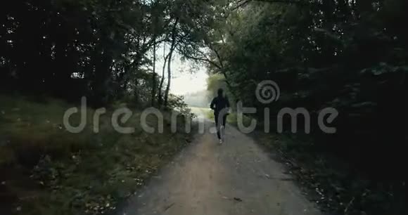 运动员在漆黑的秋林路上奔跑年轻的运动员在宁静的秋空关电影无人机后视图视频的预览图