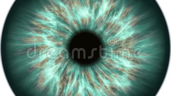 绿色人眼扩张和收缩非常详细的虹膜和瞳孔的极端特写视频的预览图