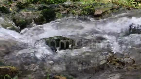 浅冷的森林溪里清澈的水流湍急视频的预览图