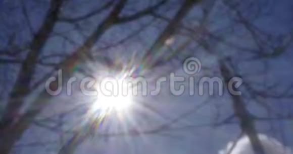 阳光照耀在蓝天上透过树看录像视频的预览图