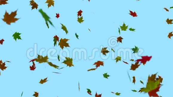 落叶背景动画视频的预览图
