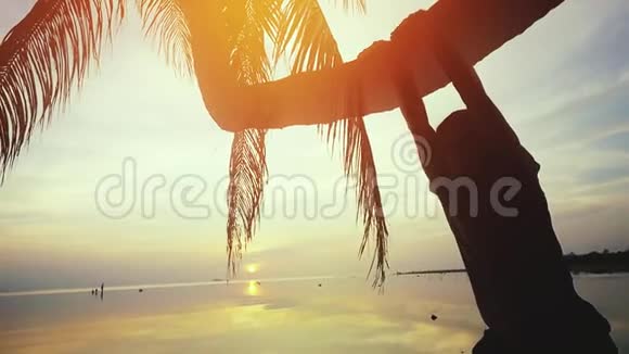 太阳眼镜的年轻人在海滩日落时挂在棕榈树上慢动作1920x1080视频的预览图