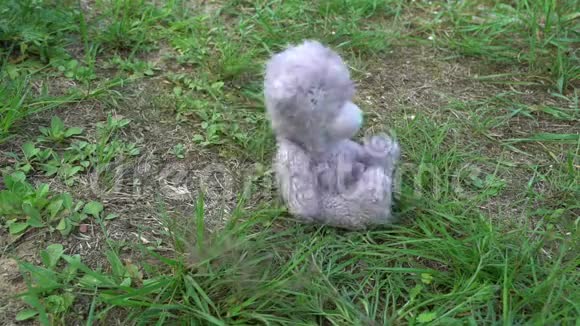 遗弃毛绒玩具灰色泰迪熊落在草地上孤独的概念童年的回忆怀旧视频的预览图