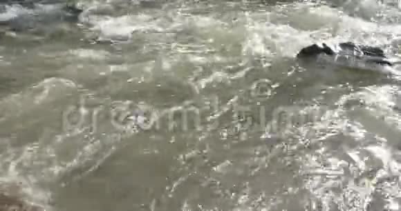 关闭水流山区河水视频的预览图