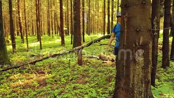 一个背着背包的人在阳光明媚的日子里漫步在森林里视频的预览图