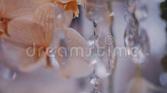 水晶烛台上的超级近景桃花兰视频的预览图