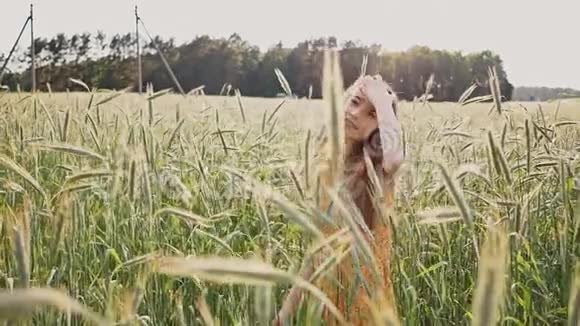 美丽的少女在田野里高高的绿色小麦穗中她收集小穗成束女孩视频的预览图