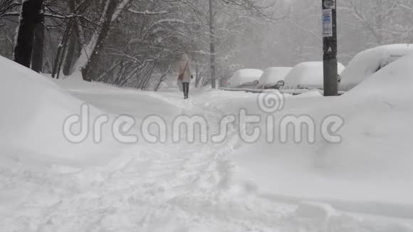 2018年2月4日莫斯科大雪视频的预览图