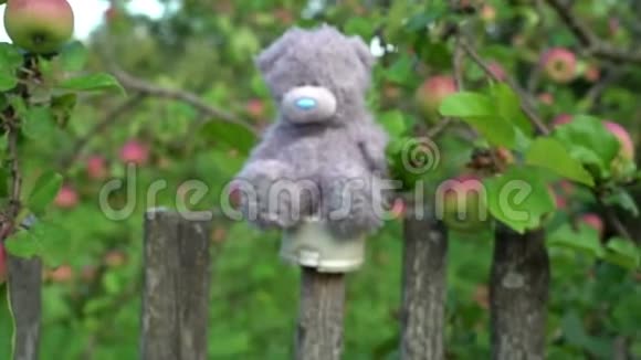 遗弃毛绒玩具灰色泰迪熊坐在老式乡村围栏上孤独的概念童年的回忆视频的预览图