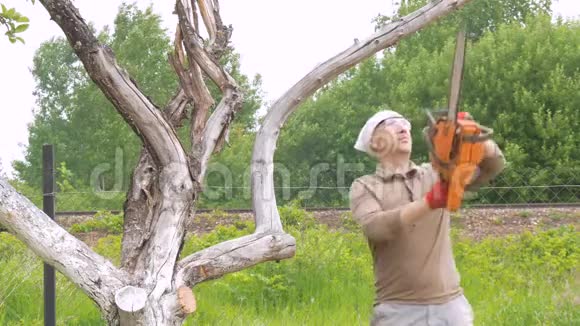 一个人在枯树上用汽油锯断一根树枝视频的预览图