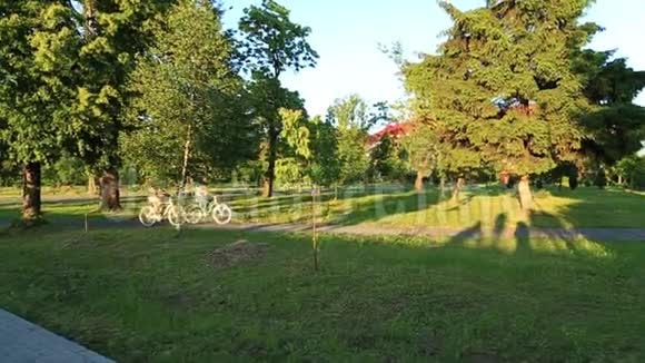 快乐的年轻夫妇喜欢骑自行车阳光明媚的夏天视频的预览图