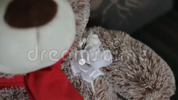 毛绒棕熊幼崽坐在沙发上特写视频的预览图