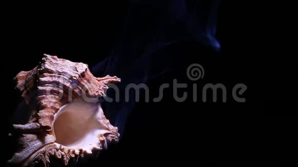 贝壳蓝烟暗背景高清镜头视频的预览图
