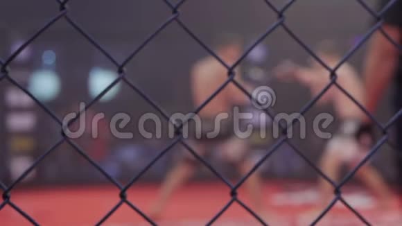 运动员在环极端运动混合武术比赛系列MMA八角形拳击圈视频的预览图