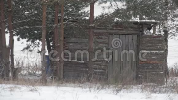 森林里废弃的老房子特写镜头冬天视频的预览图