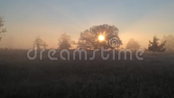早上冥想带着太阳的秋晨视频的预览图
