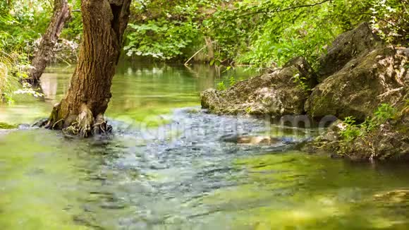 河流在岩石和树木之间平静的流动视频的预览图