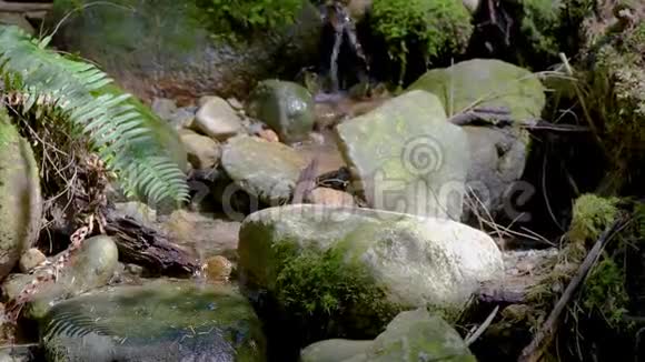 镜头接近流过石头的溪流视频的预览图