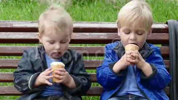 公园里有冰淇淋的双胞胎视频的预览图