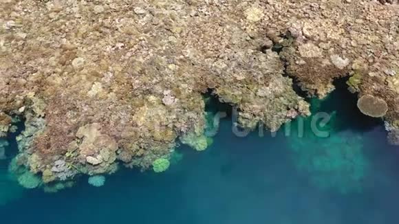 RajaAmpat珊瑚礁下降的鸟瞰图视频的预览图