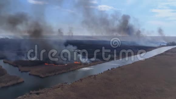 自然灾害大火在干涸的草地上快速移动黑烟在河边升天航测视频的预览图