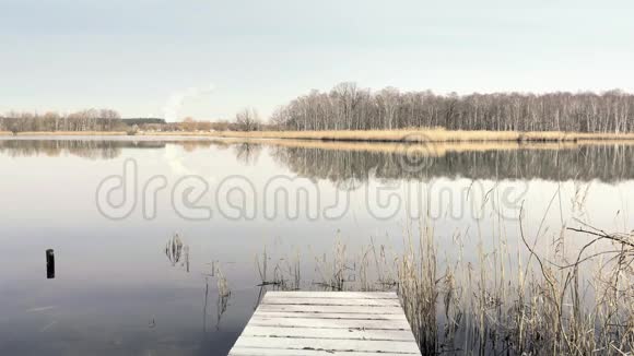 美丽池塘的木制小码头自然公园清洁湖的钓鱼码头视频的预览图