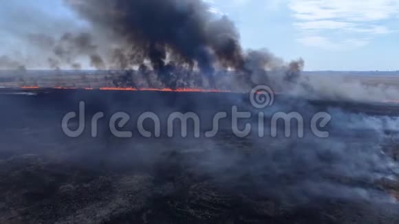 环境危险大型野火在干涸的草地上迅速蔓延浓烟直冲云霄靠近河流俯视视频的预览图