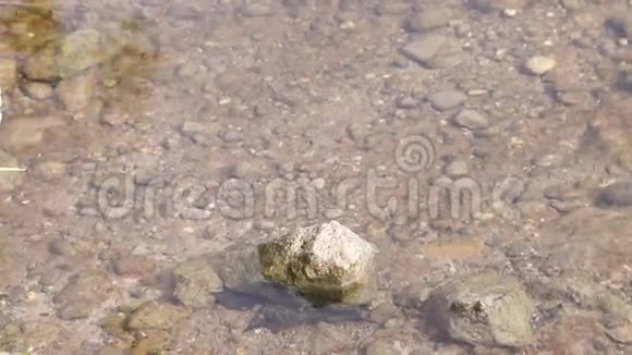 凿水和石头视频的预览图
