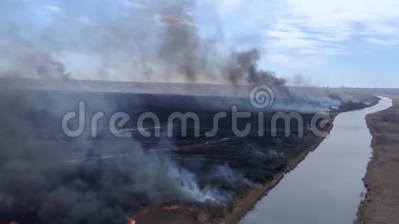 大自然的紧急灾难大片野火在干燥的田野上快速移动烟雾在河流附近上升到天空鸟眼视频的预览图